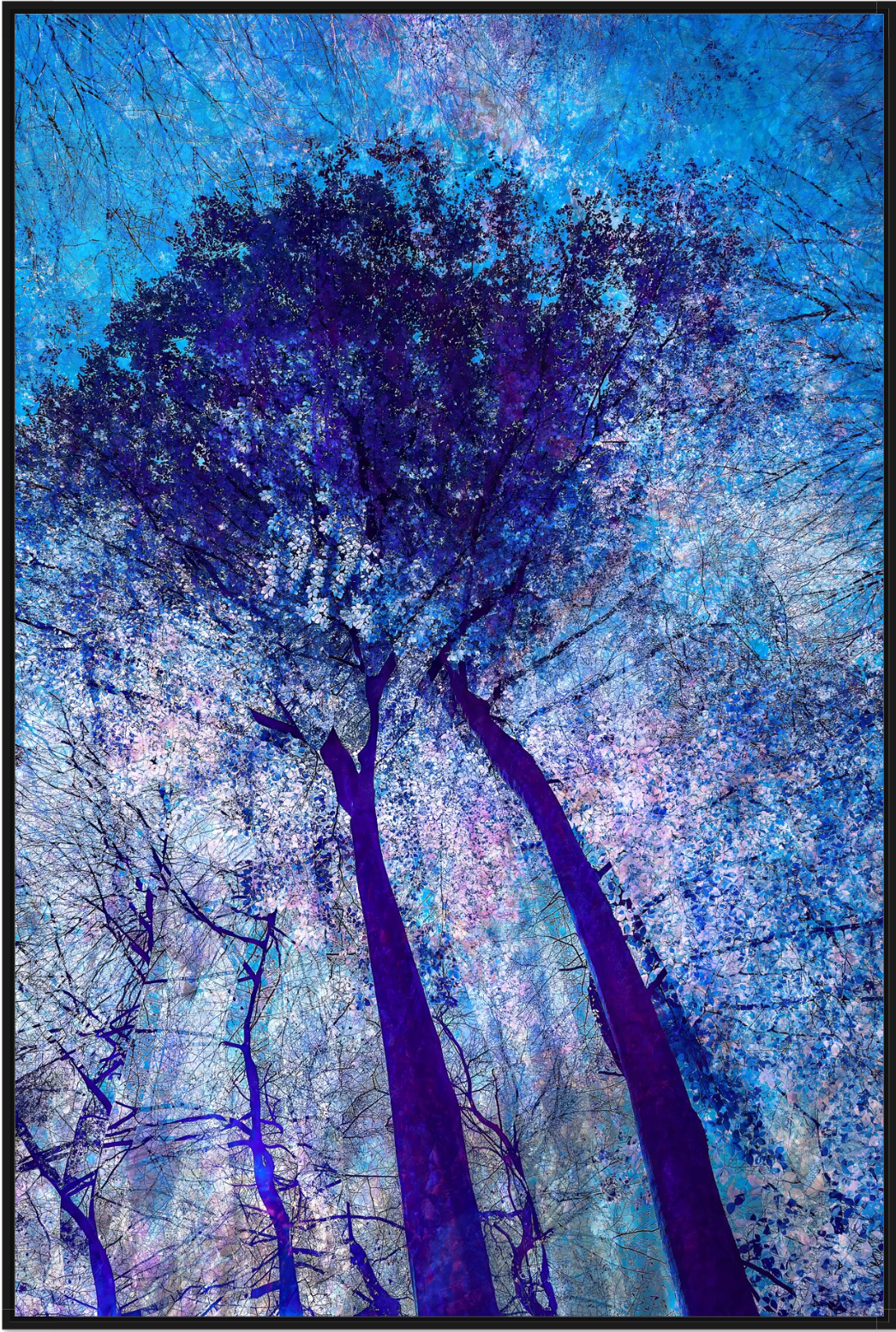 The Shaman’s Ascent